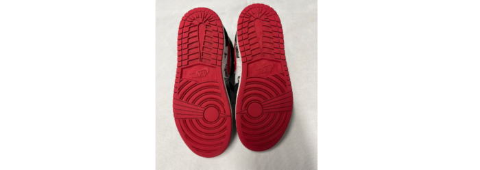 Air Jordan 1 Retro 6.png