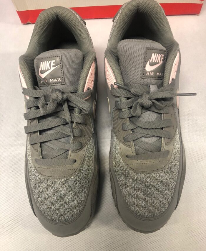 Nike Air Max 90 Essential Dust Arctic Pi