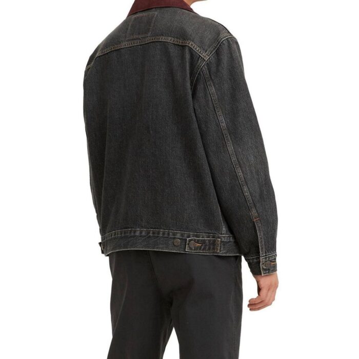 levi 1.jpg