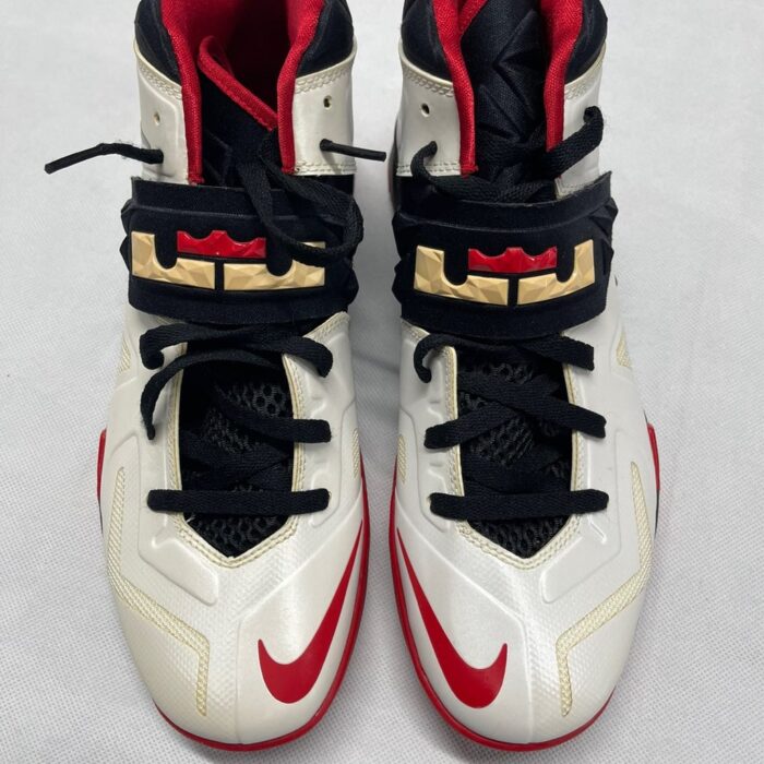 Nike Zoom LeBron.jpg