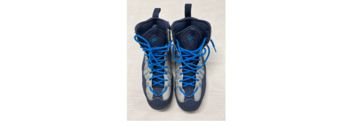 Nike Air Bakin.png