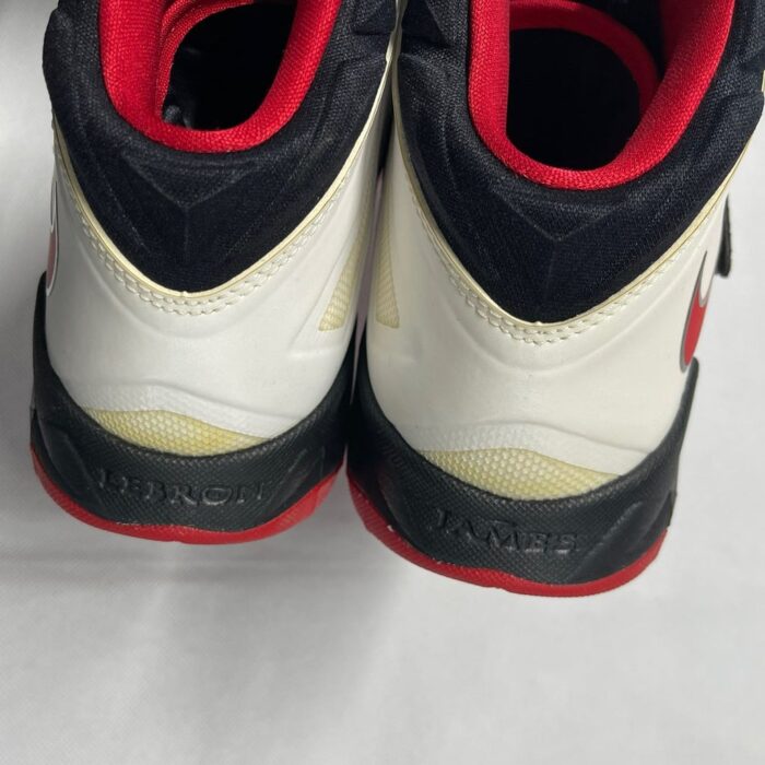 Nike Zoom LeBron 4.jpg