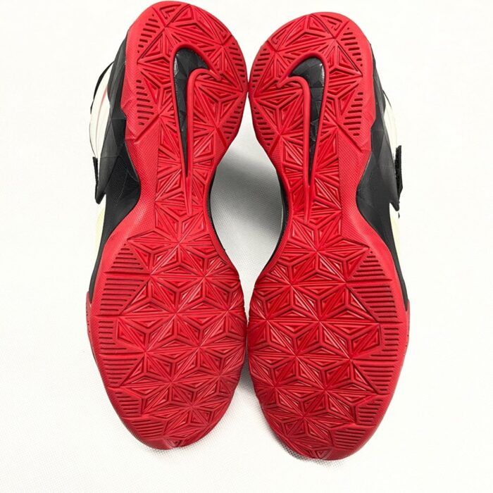 Nike Zoom LeBron 5.jpg