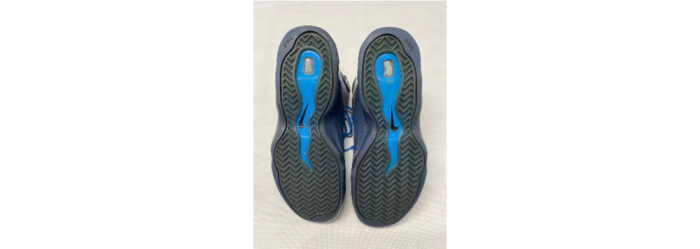Nike Air Bakin 5.png