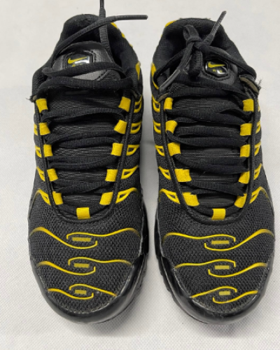 Nike Air Max Plus.png
