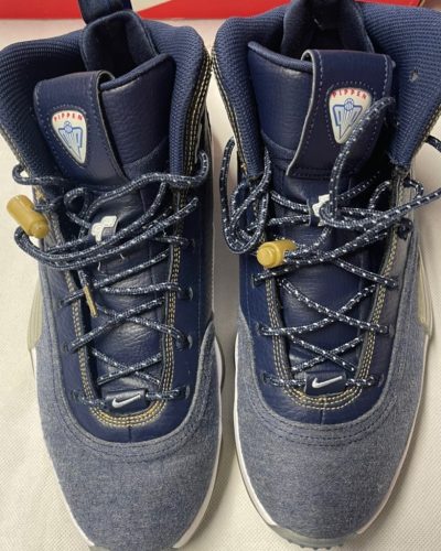 Nike Air Pippen.jpg