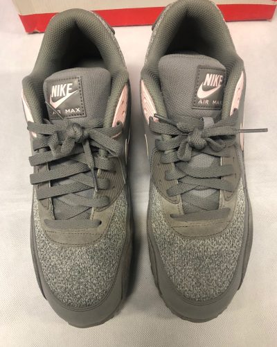 Nike Air Max 90 Essential Dust Arctic Pi