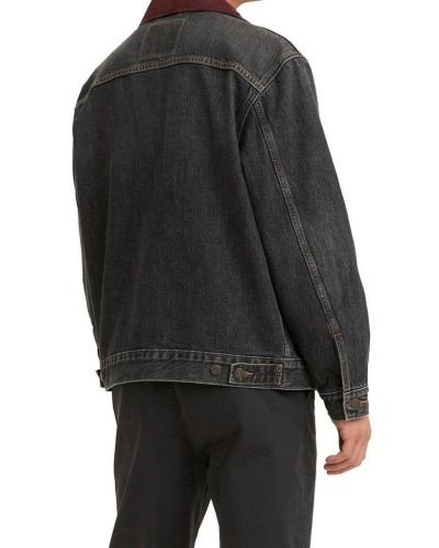 levi 1.jpg