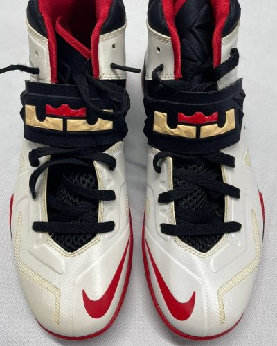 Nike Zoom LeBron.jpg