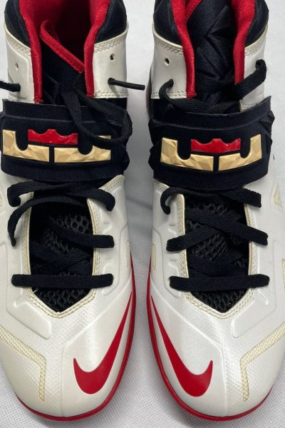 Nike Zoom LeBron.jpg