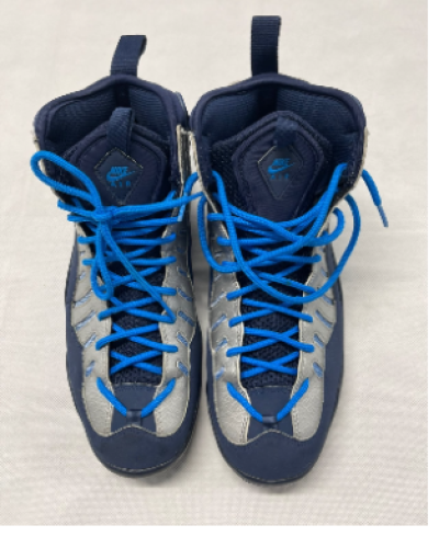 Nike Air Bakin.png